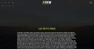 Articolo ekwine